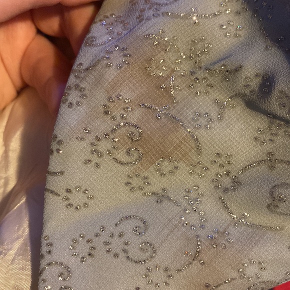 🔸SALE🔸 Ombré Sparkly Evening Dress - Picture 9 of 9